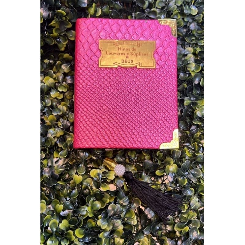 Biblia com Hinário CCB Pequeno Personalizado Luxo