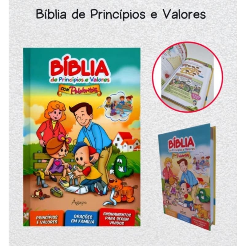 Bíblia Infantil Princípios e Valores Bíblicos  Ilustrada Capa Dura  palavra de Deus Bíblia para toda à Familia/ Bíblia ilustrada Para Criança Capa Dura menino menina