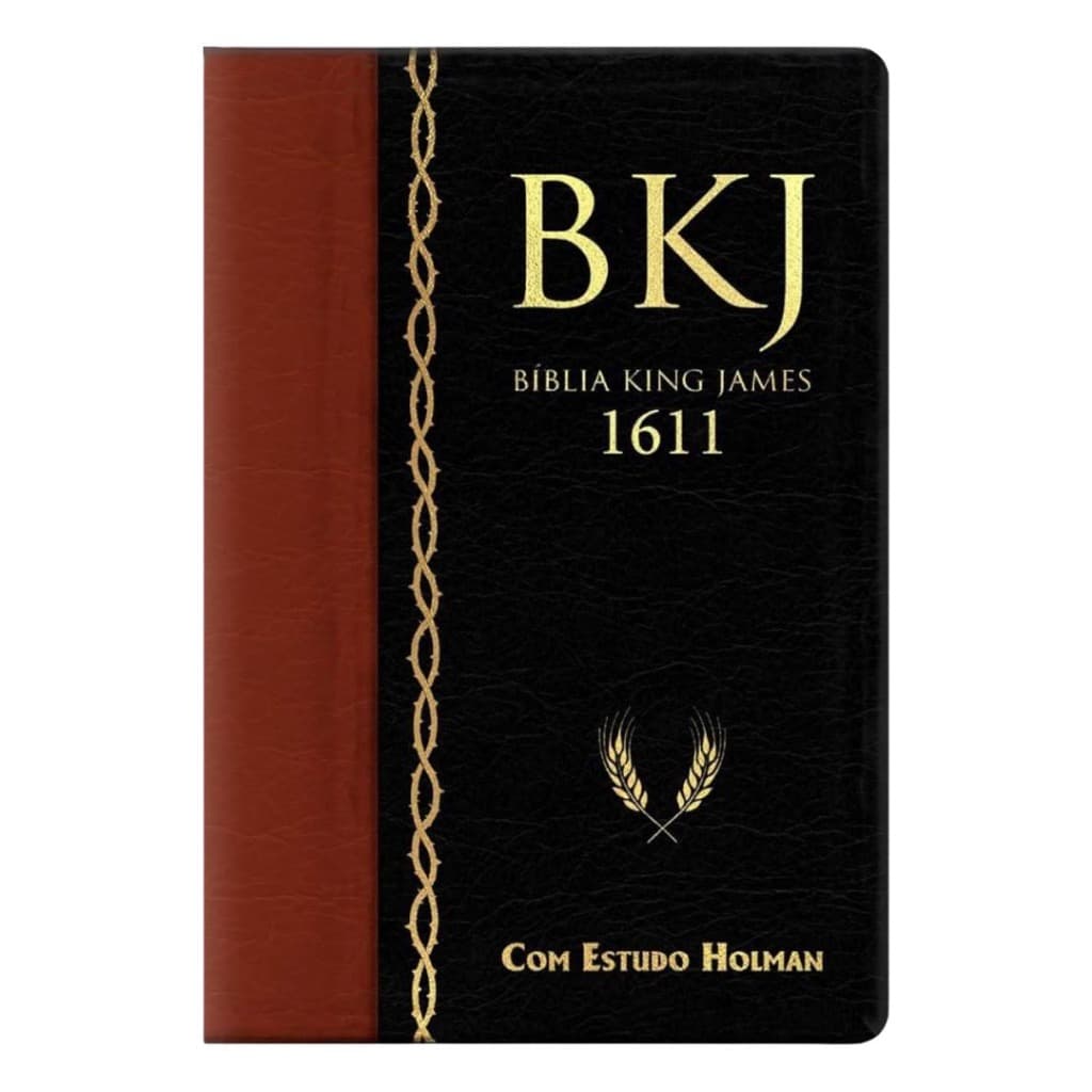 Bíblia King James Edição Luxo Bíblia Cristã Premium Envio Imediato