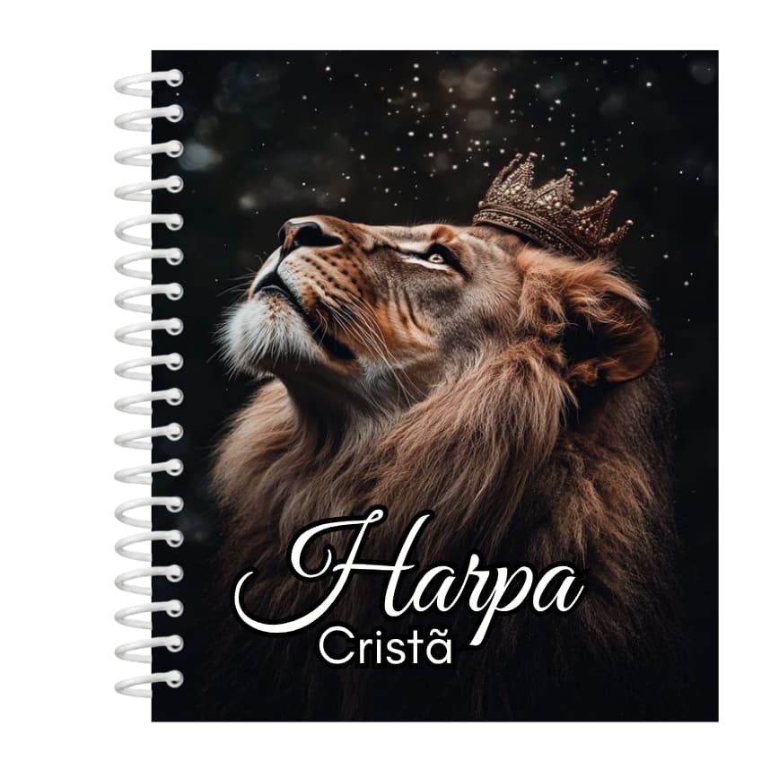 Harpa Cristã Evangélica Homem Letra Grande Hinário Completo com Corinhos Capa Dura 689 Louvores