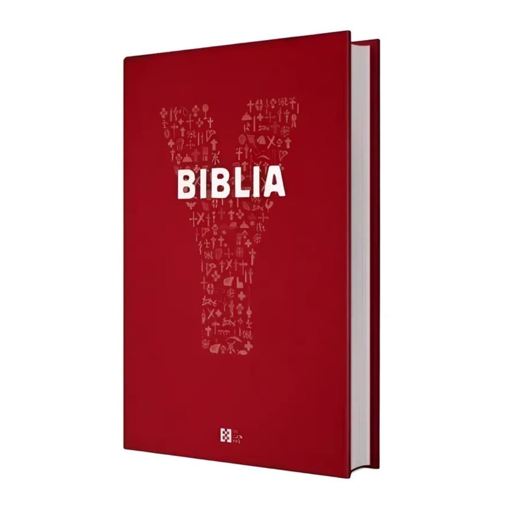 Bíblia Jovem Youcat Brasil Capa Luxo Livro Católico Papa Biblia Sagrada Dinâmica e Ilustrada